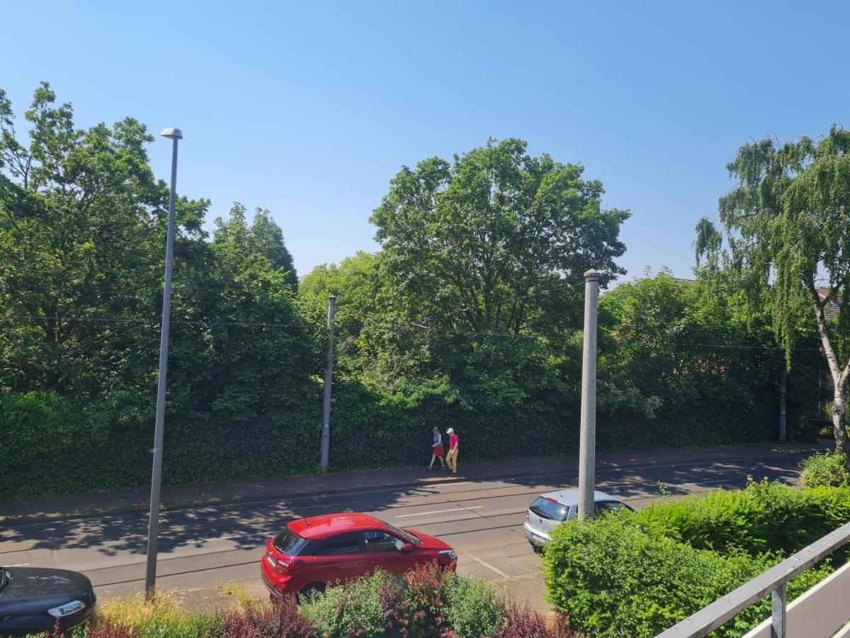 Eichhoernchen Apartment Krefeld